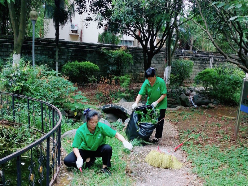 信泰物業(yè)強化衛(wèi)生整治，全面做好創(chuàng)衛(wèi)驗收復(fù)查