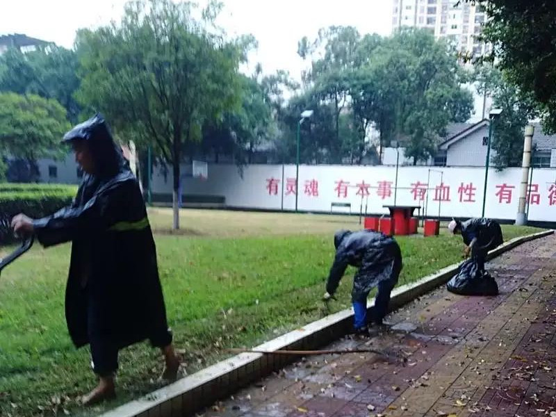 無懼風(fēng)雨，信泰為您守護