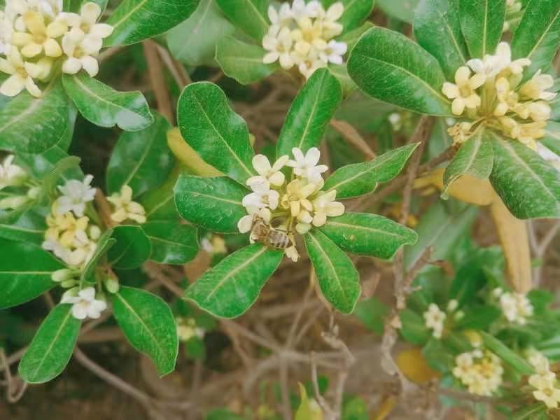 圖片關(guān)鍵詞 圖片關(guān)鍵詞