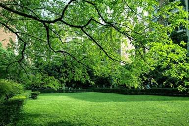 綠色，從信泰起航！